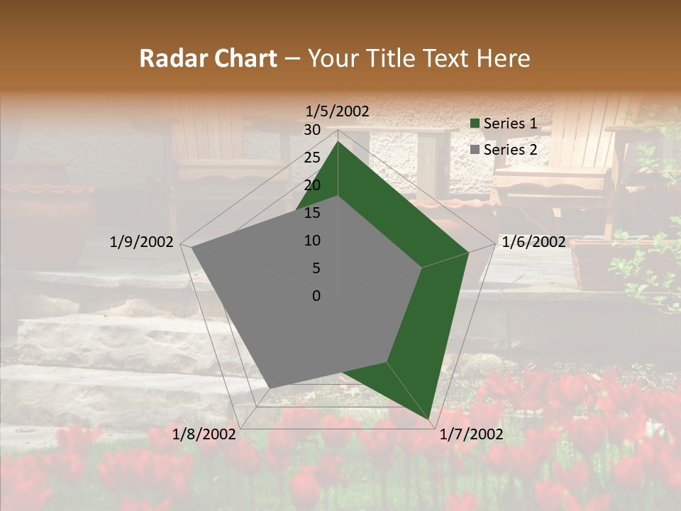 Wooden Front Sunny PowerPoint Template