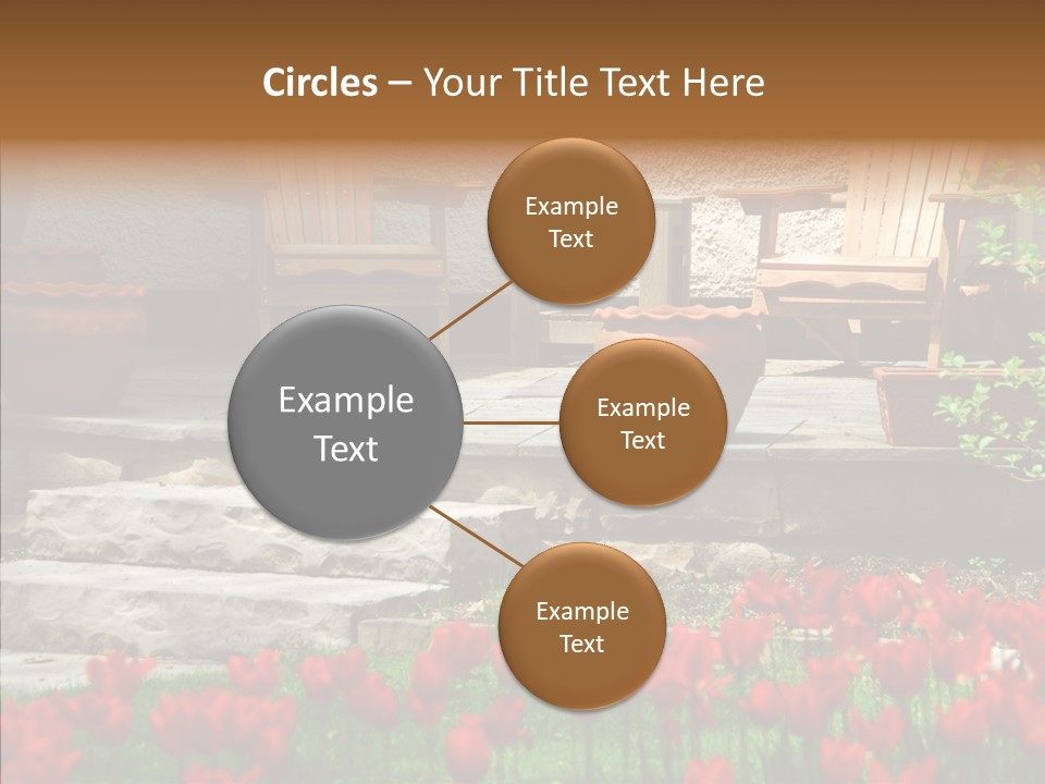 Wooden Front Sunny PowerPoint Template