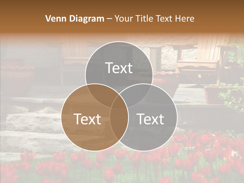 Wooden Front Sunny PowerPoint Template