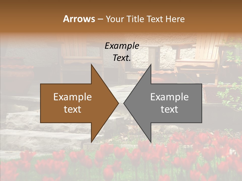 Wooden Front Sunny PowerPoint Template