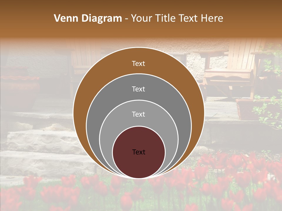 Wooden Front Sunny PowerPoint Template
