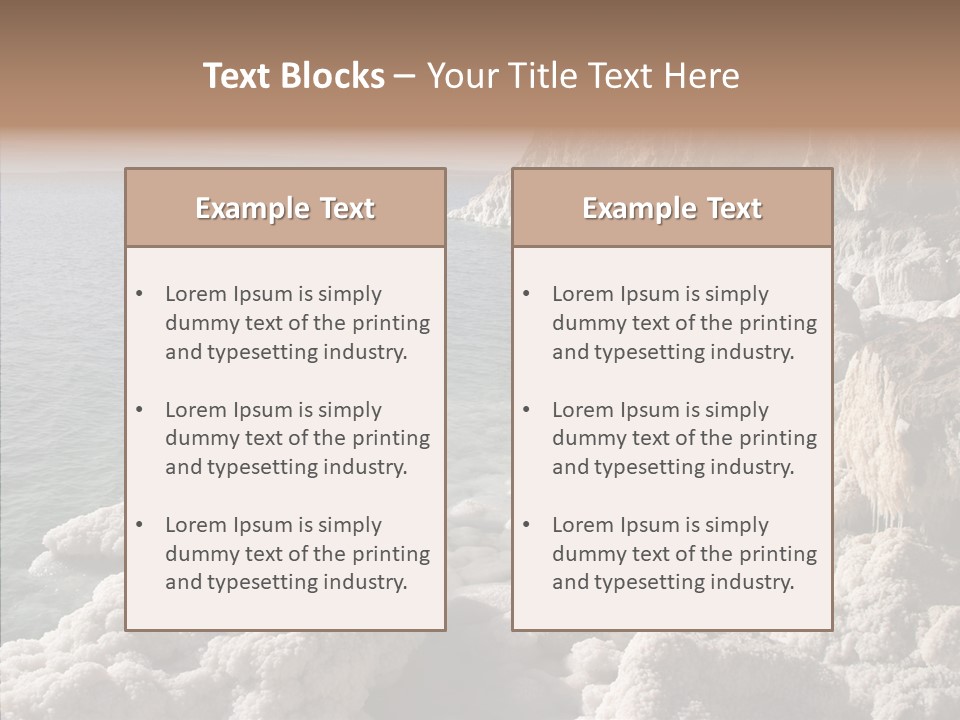 Sea Care Israel PowerPoint Template