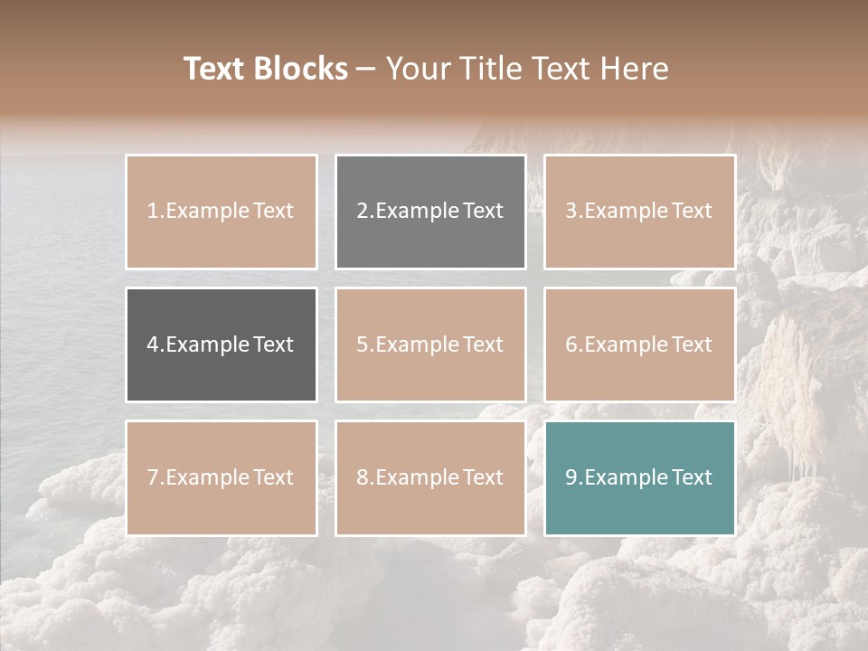 Sea Care Israel PowerPoint Template