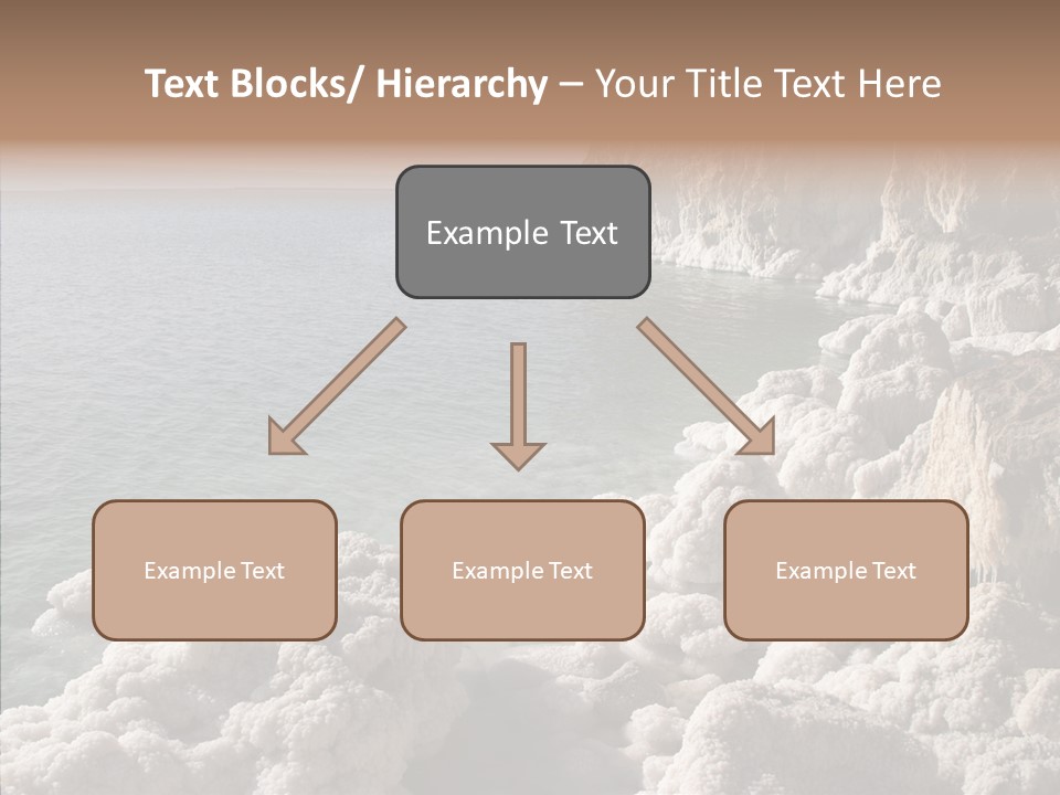 Sea Care Israel PowerPoint Template