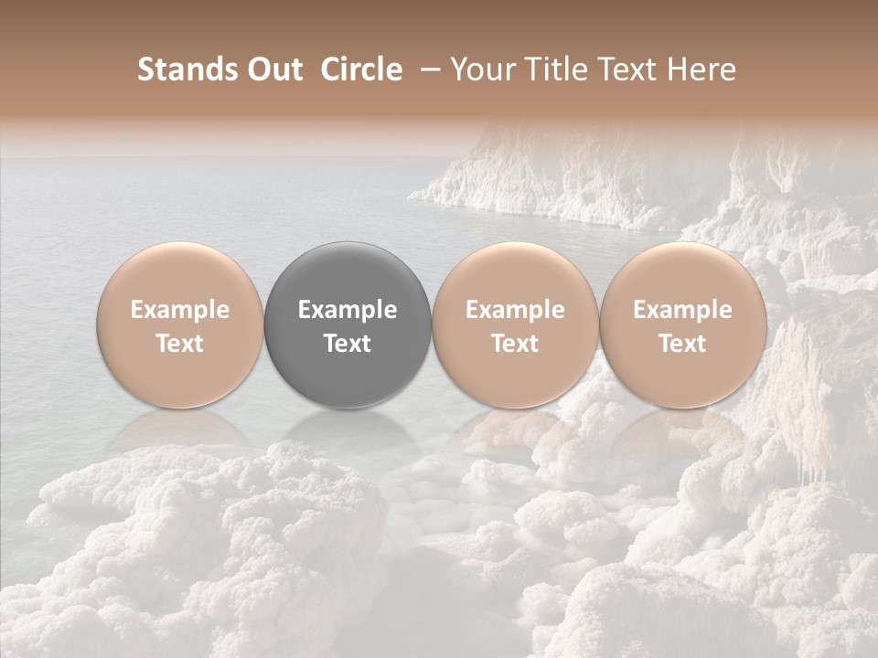 Sea Care Israel PowerPoint Template