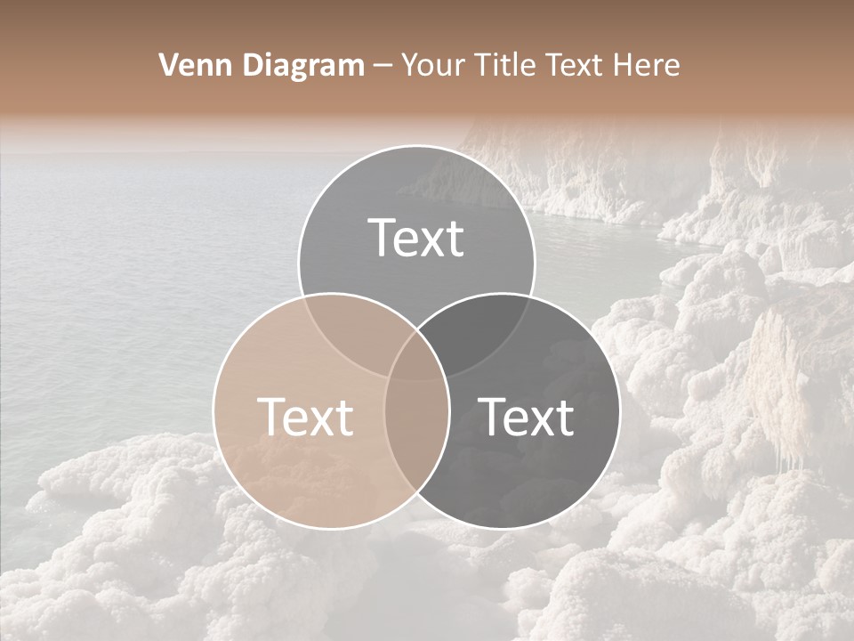 Sea Care Israel PowerPoint Template