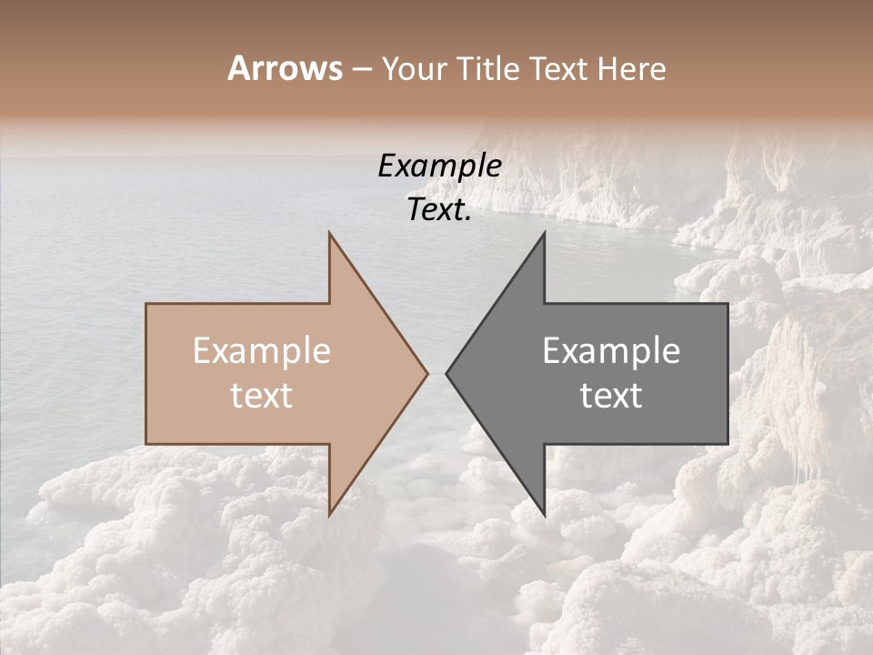 Sea Care Israel PowerPoint Template