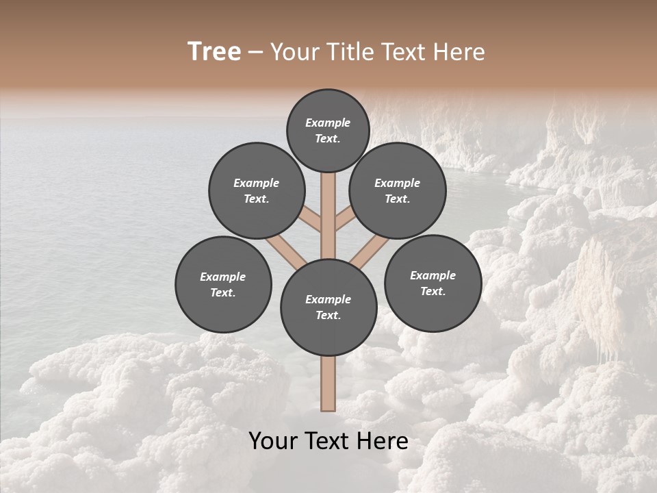 Sea Care Israel PowerPoint Template