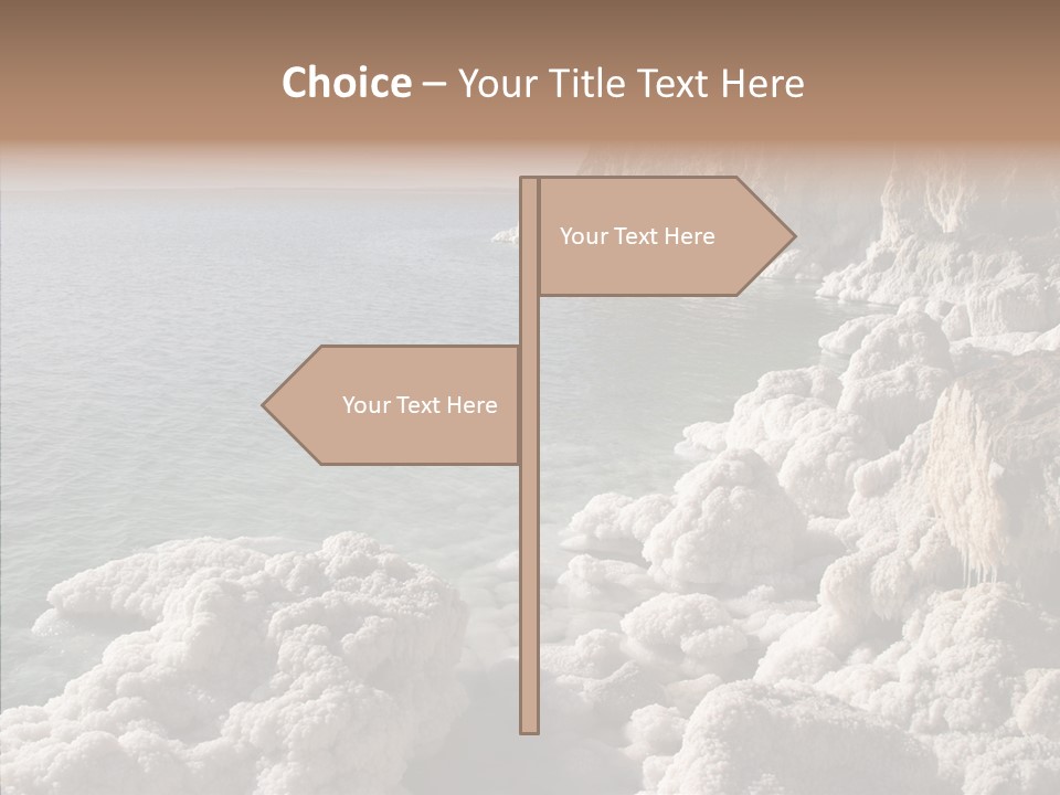 Sea Care Israel PowerPoint Template