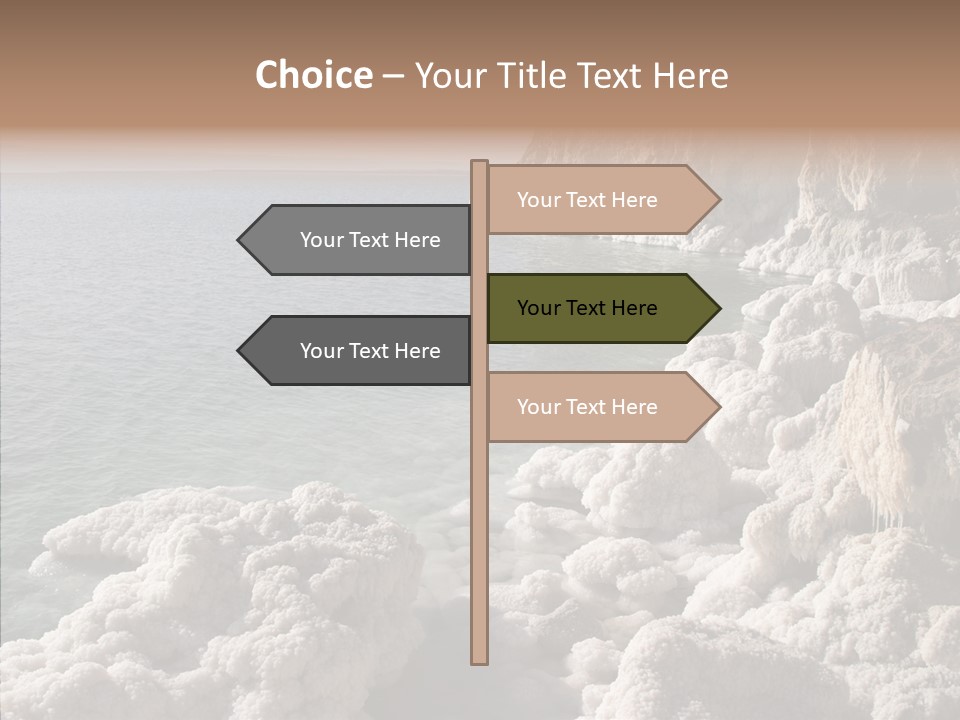 Sea Care Israel PowerPoint Template