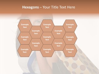 Hot Bag Fashion PowerPoint Template
