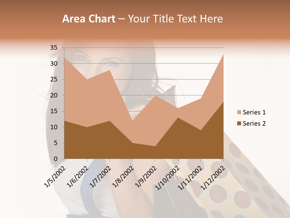Hot Bag Fashion PowerPoint Template