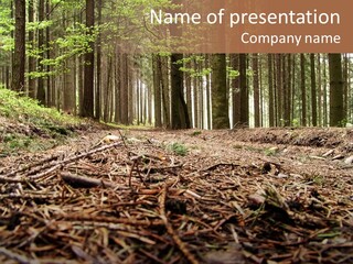 Dramatic Picturesque Trail PowerPoint Template