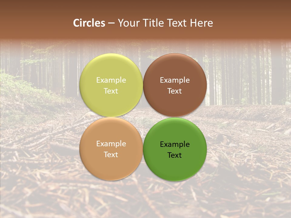 Dramatic Picturesque Trail PowerPoint Template