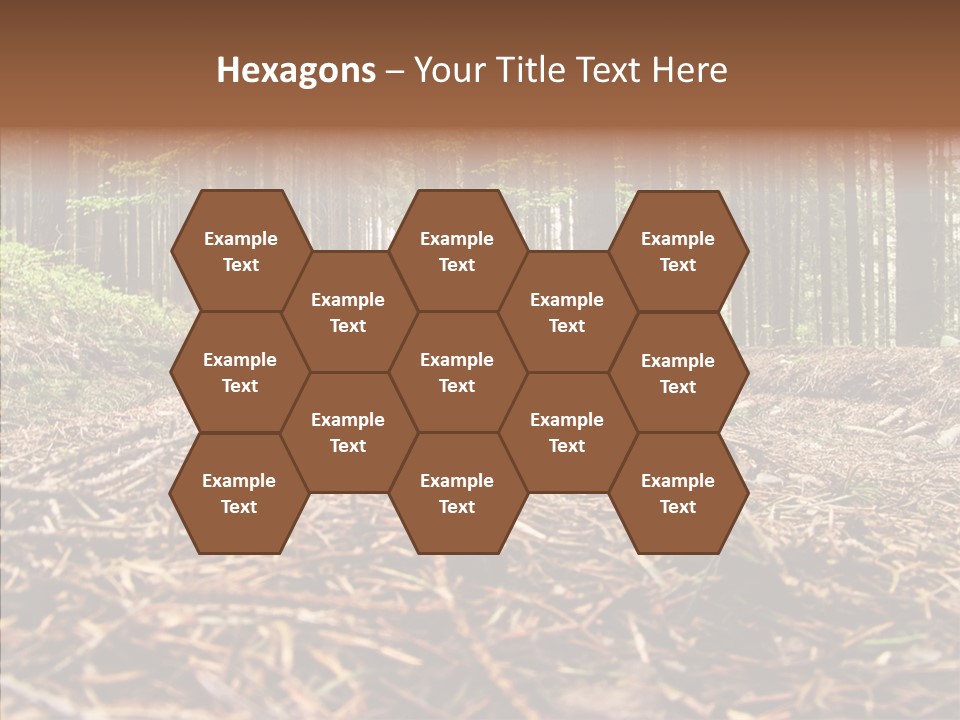 Dramatic Picturesque Trail PowerPoint Template