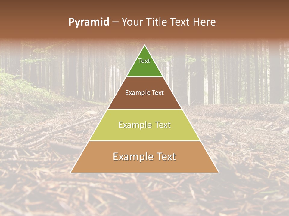 Dramatic Picturesque Trail PowerPoint Template