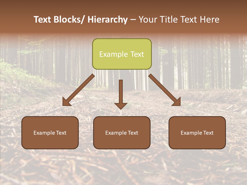 Dramatic Picturesque Trail PowerPoint Template