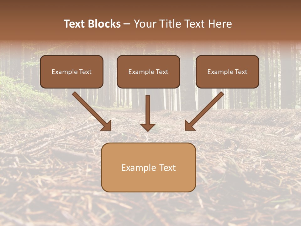 Dramatic Picturesque Trail PowerPoint Template