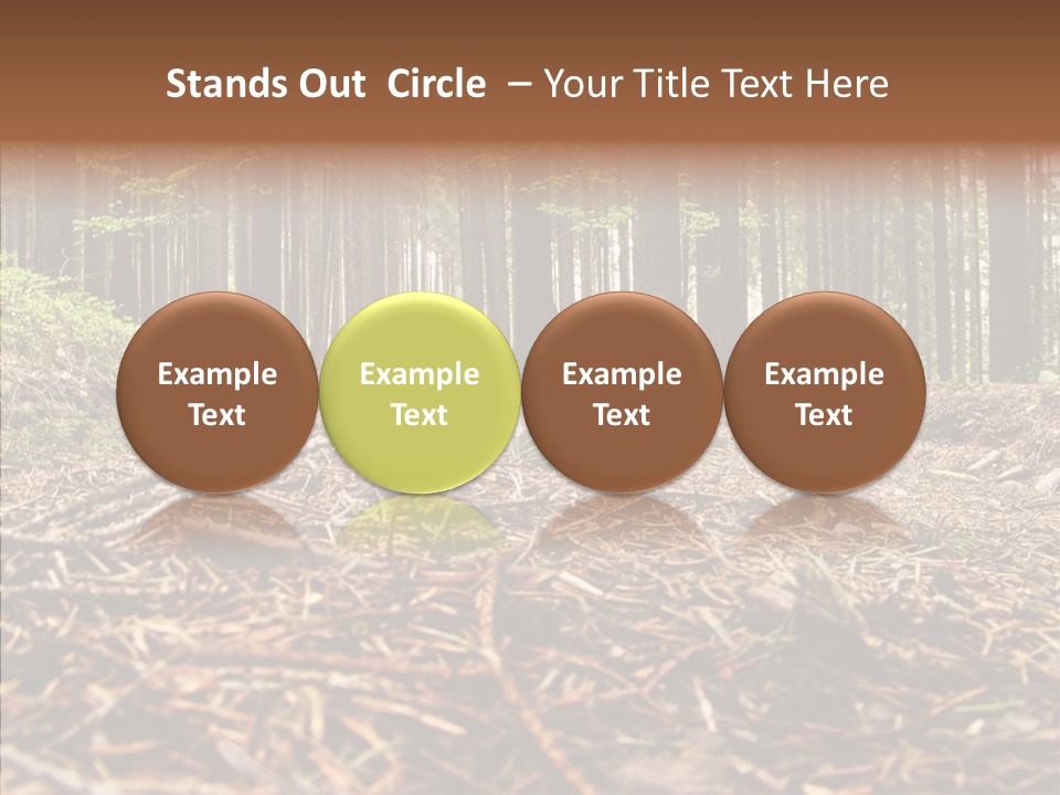 Dramatic Picturesque Trail PowerPoint Template