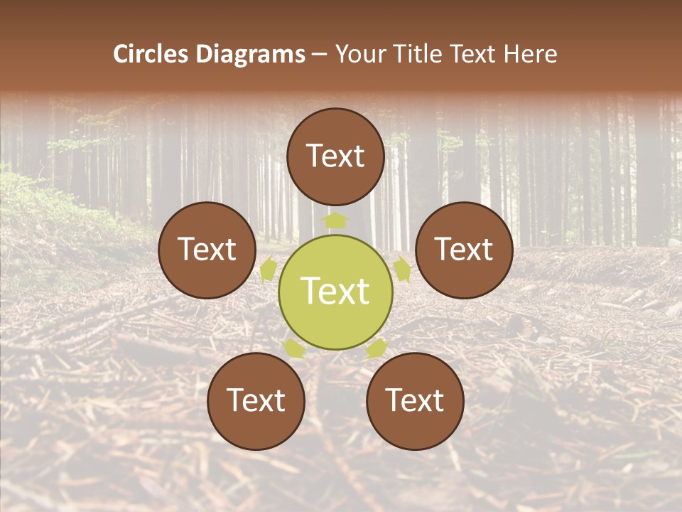 Dramatic Picturesque Trail PowerPoint Template