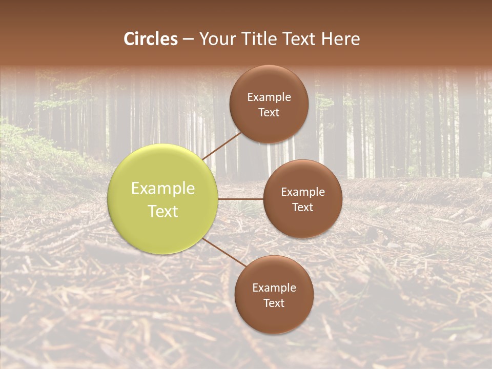 Dramatic Picturesque Trail PowerPoint Template