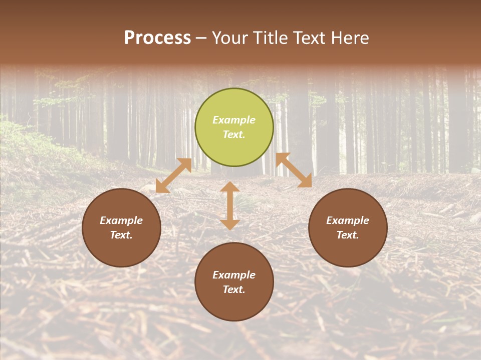 Dramatic Picturesque Trail PowerPoint Template