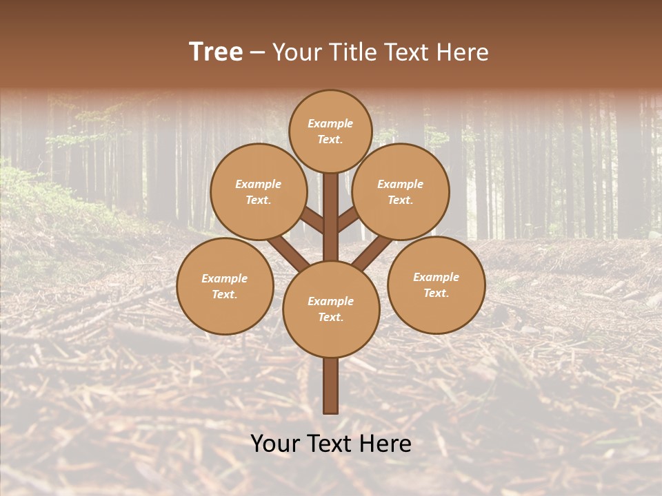 Dramatic Picturesque Trail PowerPoint Template