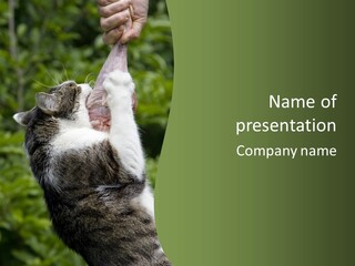 Animal Fresh Raw PowerPoint Template