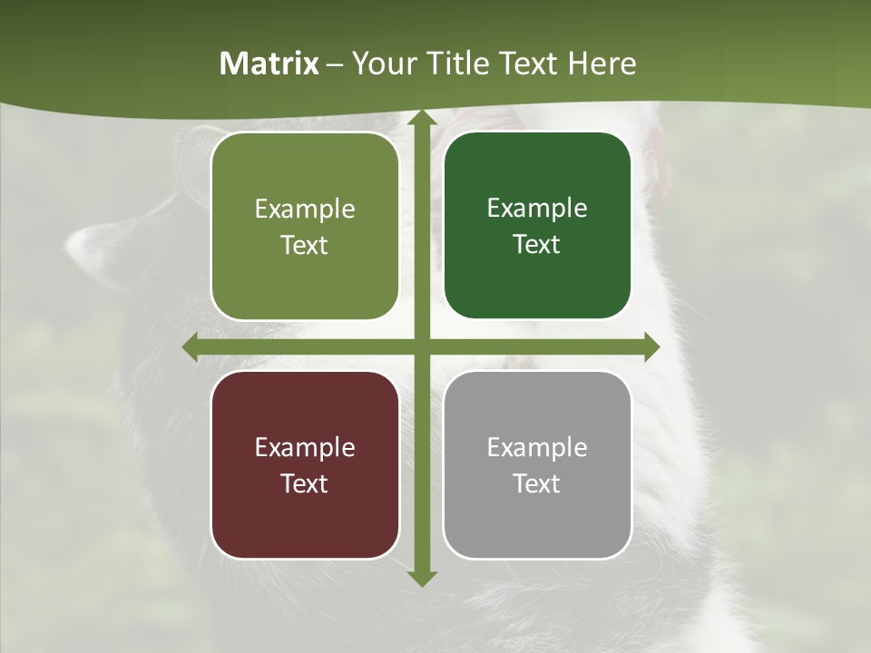 Animal Fresh Raw PowerPoint Template