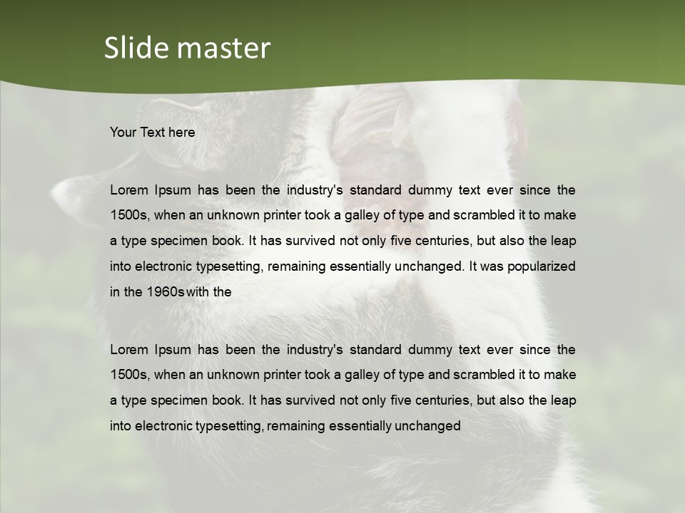 Animal Fresh Raw PowerPoint Template