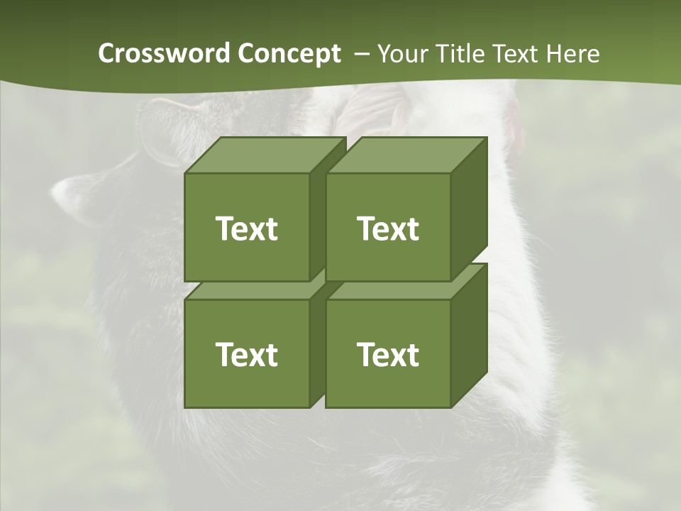 Animal Fresh Raw PowerPoint Template