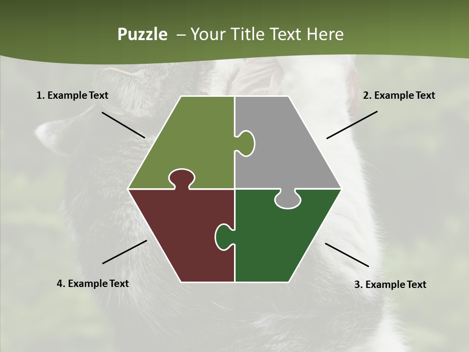 Animal Fresh Raw PowerPoint Template