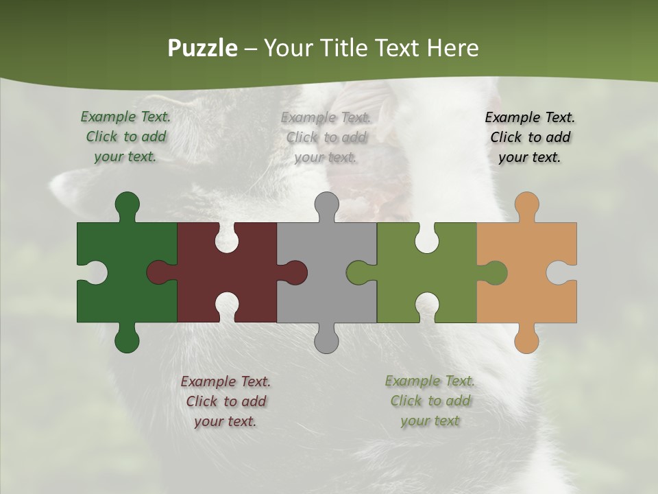 Animal Fresh Raw PowerPoint Template