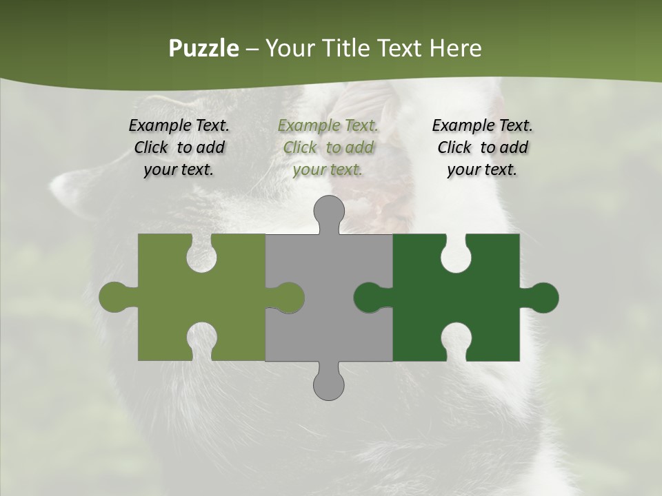 Animal Fresh Raw PowerPoint Template