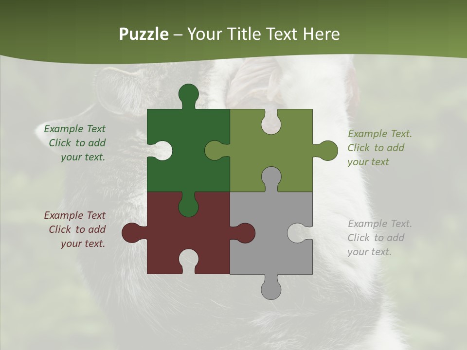 Animal Fresh Raw PowerPoint Template