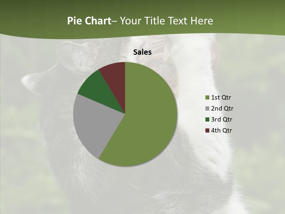 Animal Fresh Raw PowerPoint Template