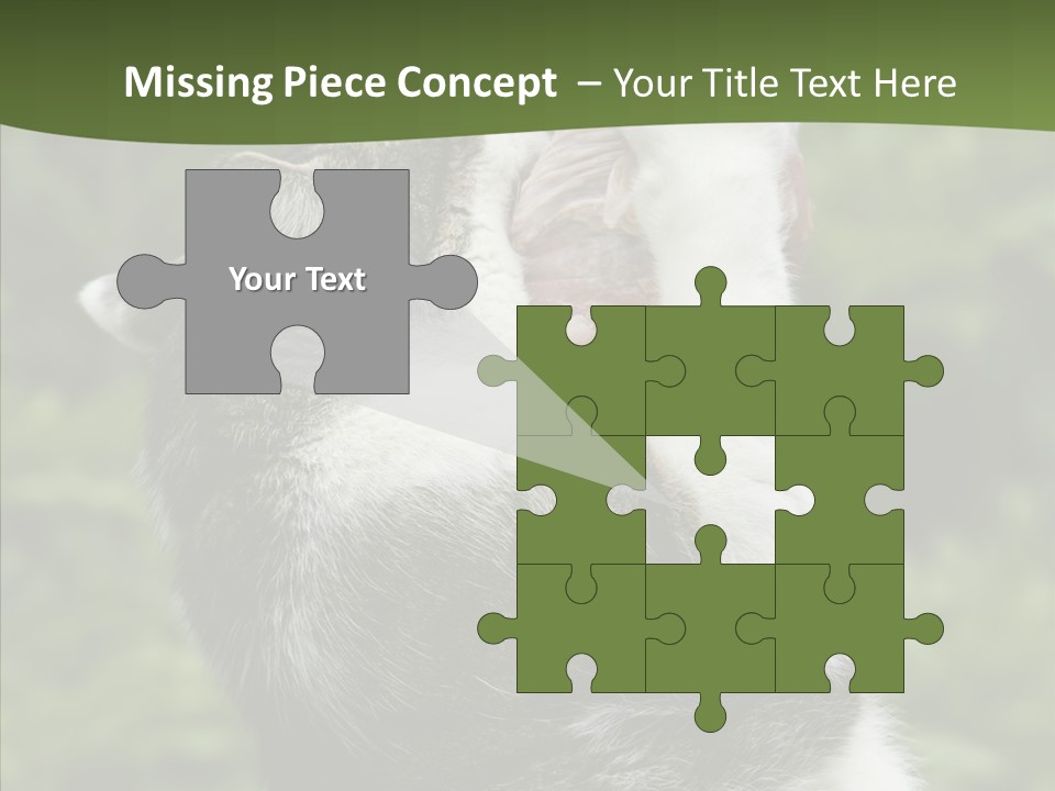 Animal Fresh Raw PowerPoint Template