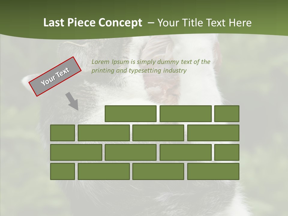 Animal Fresh Raw PowerPoint Template