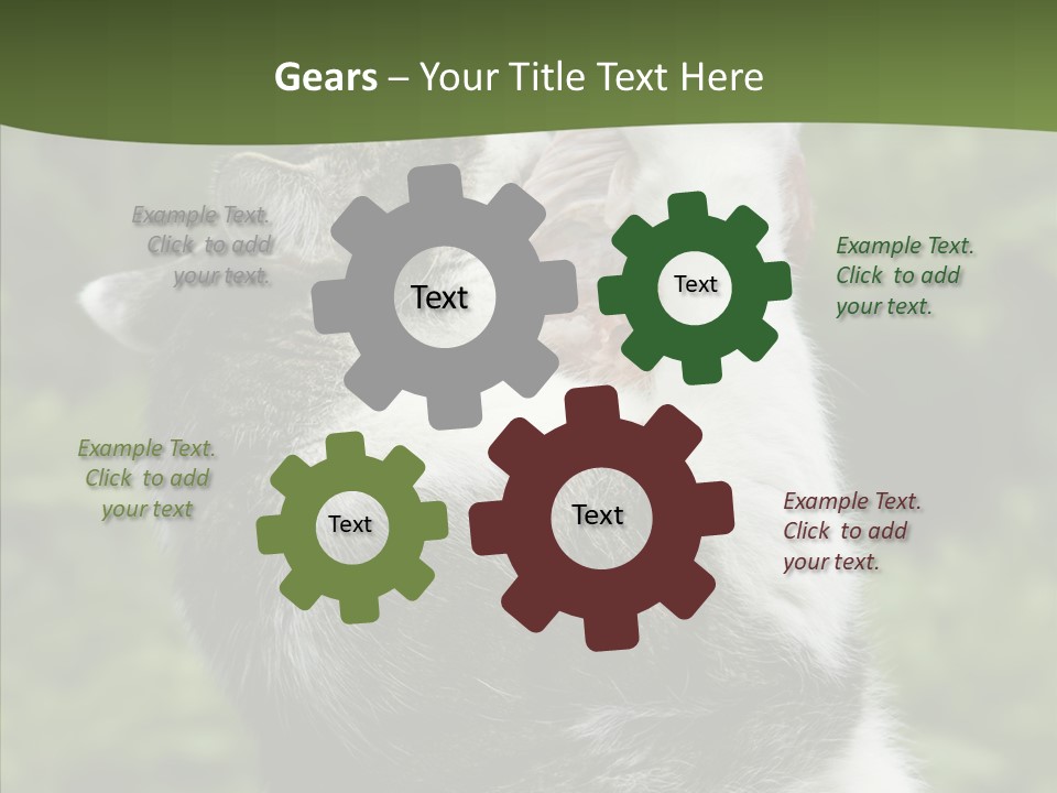 Animal Fresh Raw PowerPoint Template