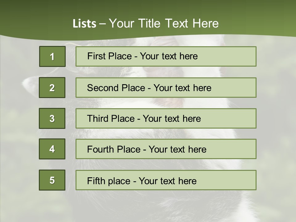 Animal Fresh Raw PowerPoint Template