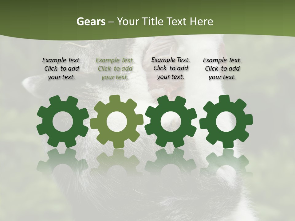 Animal Fresh Raw PowerPoint Template