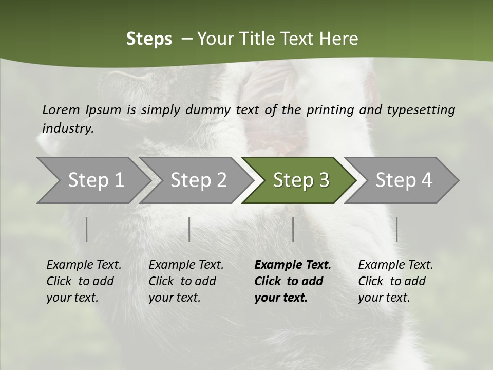 Animal Fresh Raw PowerPoint Template