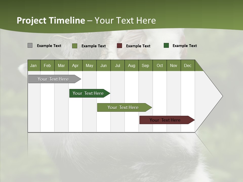 Animal Fresh Raw PowerPoint Template