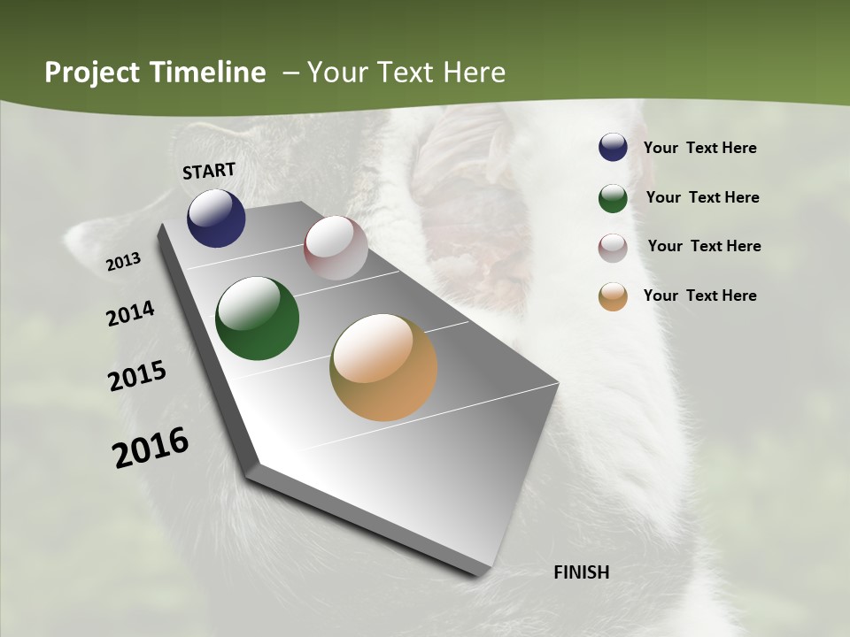 Animal Fresh Raw PowerPoint Template