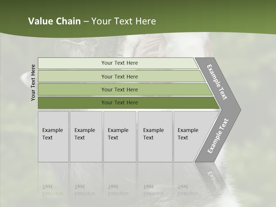 Animal Fresh Raw PowerPoint Template