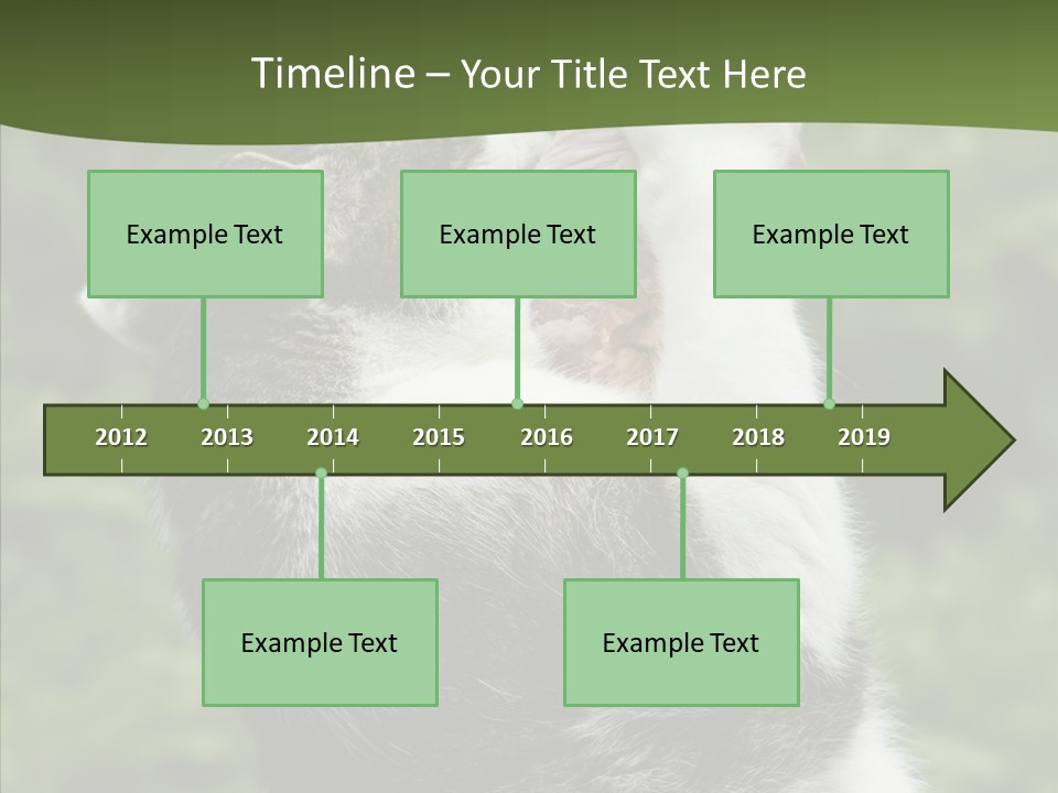 Animal Fresh Raw PowerPoint Template