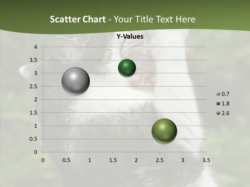 Animal Fresh Raw PowerPoint Template