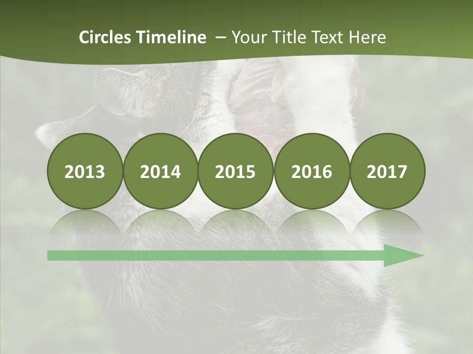Animal Fresh Raw PowerPoint Template
