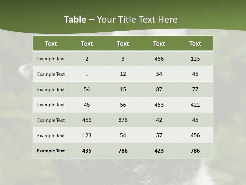 Animal Fresh Raw PowerPoint Template