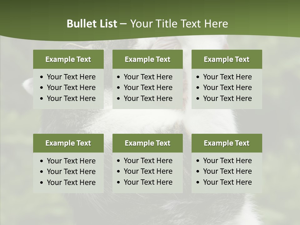 Animal Fresh Raw PowerPoint Template